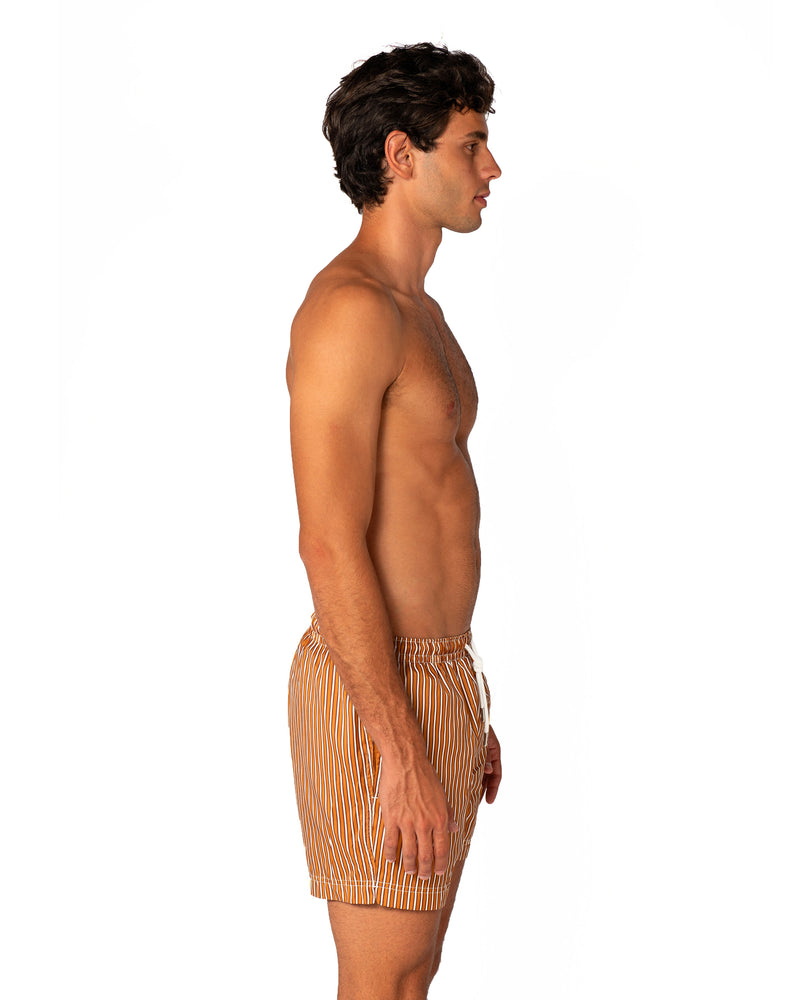 RAYURES ORO